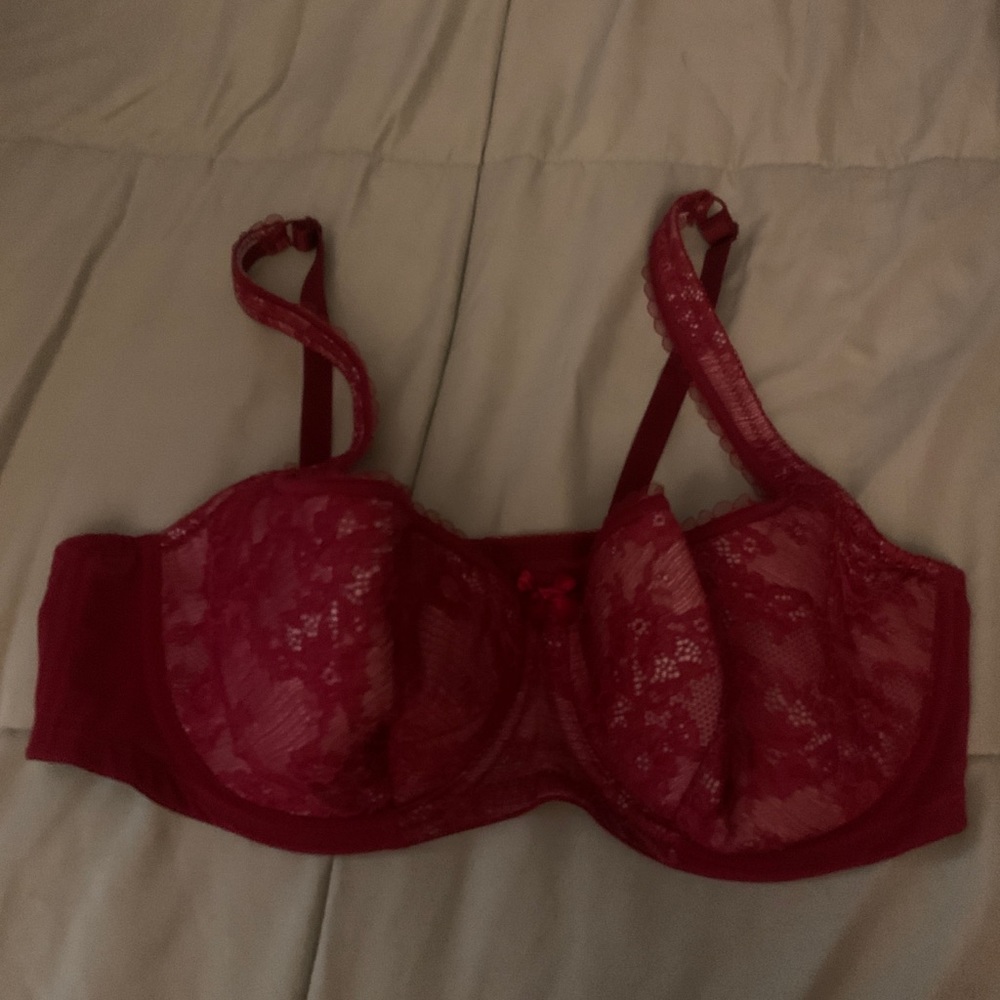 Roseme Red Lace Bra 42D
